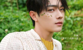 娱乐圈近期吃瓜丁禹兮,揭秘近期热门事件背后的真相