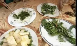 娱乐吃瓜新粉,吃瓜指南，轻松解锁娱乐圈秘密！