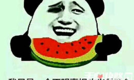 娱乐吃瓜酱聊天梗在哪