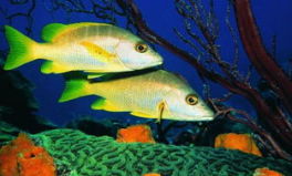 一线吃瓜娱乐圈by海底见月,海底见月带你一线吃瓜