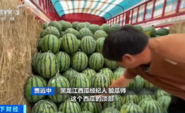 娱乐吃瓜酱爷爷花篮,揭秘娱乐圈背后的温馨故事