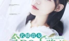 娱乐吃瓜君名媛是谁啊小说,名媛背后的神秘故事