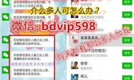 微商做什么赚钱,热门赚钱项目与策略解析