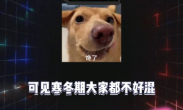 娱乐八卦吃瓜配图,吃瓜群众眼中的明星幕后故事