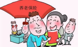 养老保障,构建与完善之路”