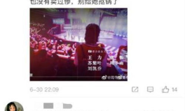 娱乐圈幕后工作工资,高薪背后的辛酸与挑战