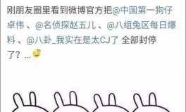 娱乐吃瓜总结,揭秘明星幕后故事