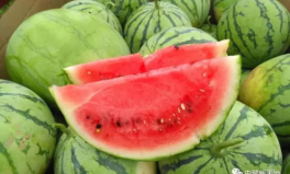 甜的娱乐吃瓜,揭秘娱乐圈甜蜜瓜皮背后的故事