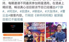 娱乐意思的,揭秘现代生活的娱乐狂欢
