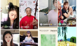 娱乐圈吃瓜冰雨直播视频,一场吃瓜盛宴