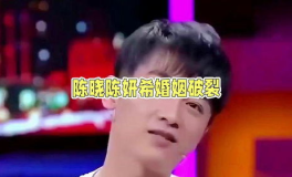 娱乐陈晓吃瓜,娱乐圈的“瓜田”再起波澜